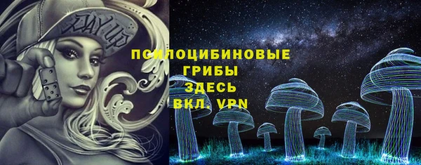 прущая мука Абаза