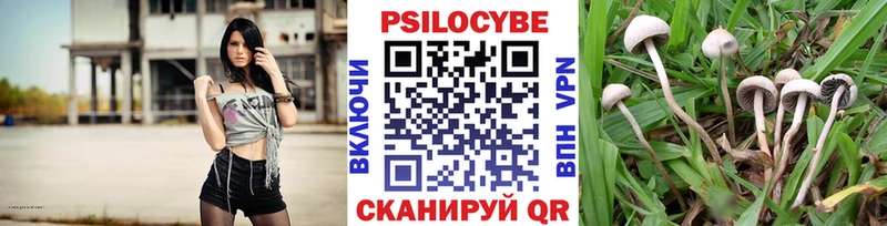 hydra зеркало  Ивантеевка  Галлюциногенные грибы мицелий 